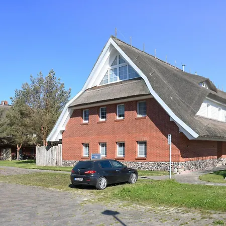 Am Gutspark Drankse Sandgloeckchen